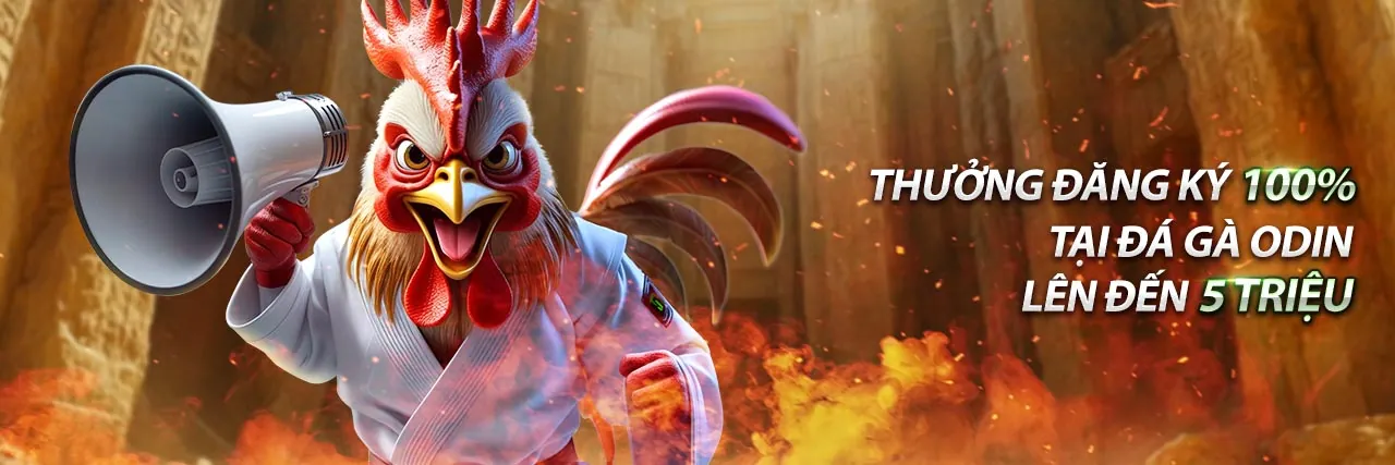 Hình ảnh đá gà trực tuyến tại win 777 club